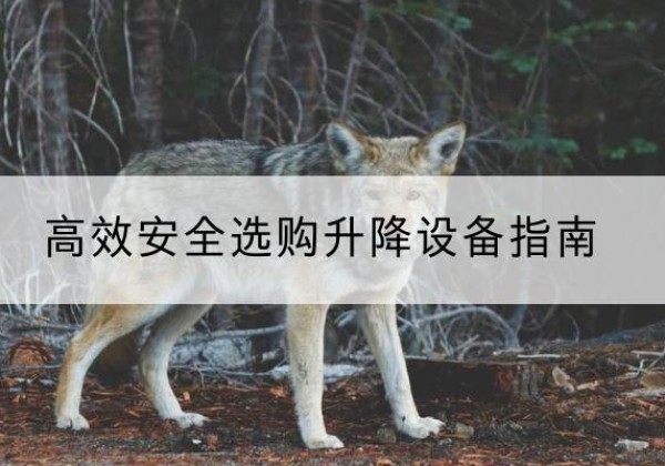 库伦旗升降货梯厂家推荐-*安全选购升降设备指南