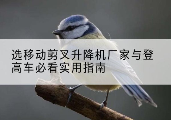 库伦旗电动升降机厂家-选移动剪叉升降机厂家与登高车必看实用指南